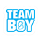 Złote naklejki ujawniające płeć Team Boy and Team Girl Etykiety na Baby Shower